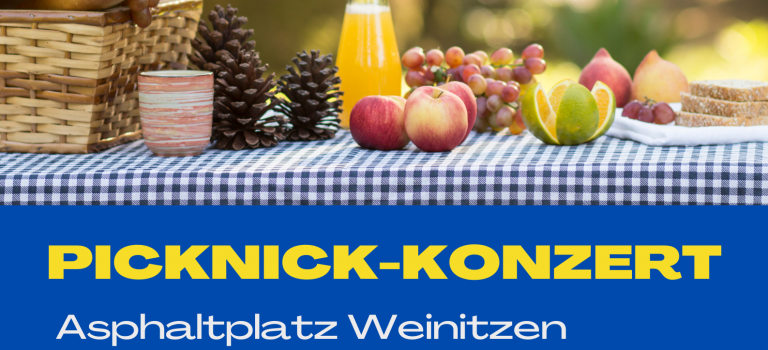 Picknick-Konzert 2022